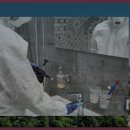 대신주말농장 정보화마을 | 주말농장 정보화마을 방문 후기: 자연 속에서의 힐링