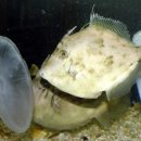 한강대교 난간 위의 낙서들 이미지