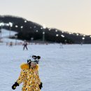 그래이스키 - 서초구 강남대로51길 10 | 초등 스키수업 2번째 ⛷️ 지우의 언니와 함께, 또 한 번 성장한 하루 ( 곤지암 리조트 ) 그래이스키강습 후기