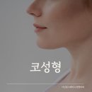 그레이스오앤영성형외과의원 | 대구 코성형 잘하는곳, 이런 기준으로 찾으면 됩니다