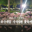 공주 축제 유구 색동 수국 꽃 축제 야간 후기