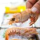 해선횟집 이미지