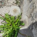 구리(일산) | 꺼짐 (운) 엉덩이쿠션보강 후기 ,안산 인천 부천 구리 남양주 광명 일산 의정부 김포 하남 분당 판교...