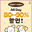 광주 강아지분양 고양이분양 어반펫 광주본점 | 여수 강아지 분양, 어반펫에서의 믿음과 청결의 경험