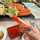 애견왕국 | 울진 죽변항 대게 맛집 싱싱회대게왕국 내돈내산 후기 애견동반 여행