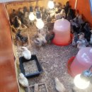 길원농장 이미지