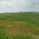 1073목장 이미지