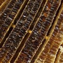 이태연농장 이미지