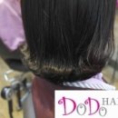 헤어도도(DODO) 이미지