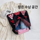 니트나무 이미지