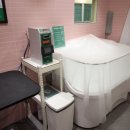 버블독스 이미지