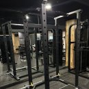 비비휘트니스 이미지