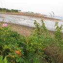 부석회센타 이미지