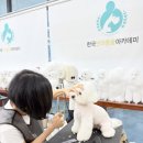 이수백보건진료소 | 동물관련학과 내신 5 6 7등급도 가능 합격자의 후기