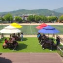 경기인터넷신문