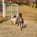 코코앤잭슨 이미지