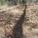 천문동 농장 이미지