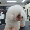 풋라인