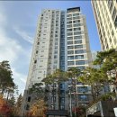 분당-판교-2024 이미지