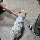 성호카센타 네이버블로그