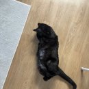 도연(到延)결혼정보 | 이야기 ÷ 이야기 ÷ 이야기... 나누고 싶은 여자