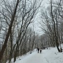 용정에너지 | ^ 태백산/ 250126.일/ 2504