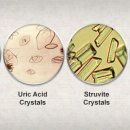 리더스동물병원 이미지