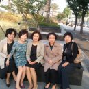 타샤의정원 이미지