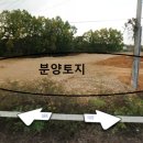 포승공단주유소 이미지