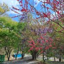 화악산장 | 밀양촌캉스 화악산장 몸빼바지 입고 워케이션 어때?