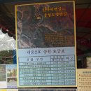 산막이선착장 이미지