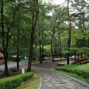 만수산자연휴양림 이미지