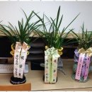 행정사도움사무소 이미지