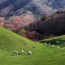 유연목장 이미지