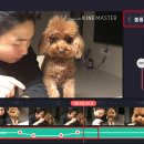 스마트폰 영상 제작 및 편집 이미지