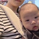 아이엔젤 닥터다이얼 플러스 아기띠 한달 사용 후기 | 허리 아픈 엄마라면 주목!