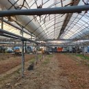 샤인하우스 이미지