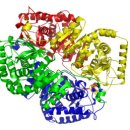 DH (Lactate Dehydrogenase, LD) 측정과 임상적 의의 이미지