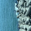 디에이블 광안점 이미지