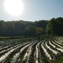 개울농장 이미지