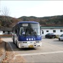수원꽃들