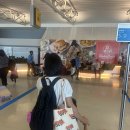 시카고짐(CHICAGO GYM) | 아기랑 미국 여행 시카고 뉴욕 이동 시카고 오헤어 공항, JFK 공항