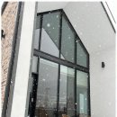 아름다운 애견 이미지