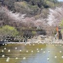 천국은불타고있다 이미지