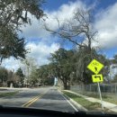 DR골프연습장 이미지