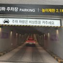베이글펫 이미지