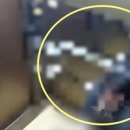 “엘리베이터 탑승한 男, ‘10층 버튼’ 누른 뒤 마구 폭행” 이미지