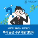 앙포레 모리노헤어 이미지