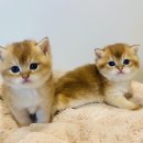 남여울2길 이미지