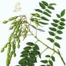 석촌고분역 4번출구 앞 이미지